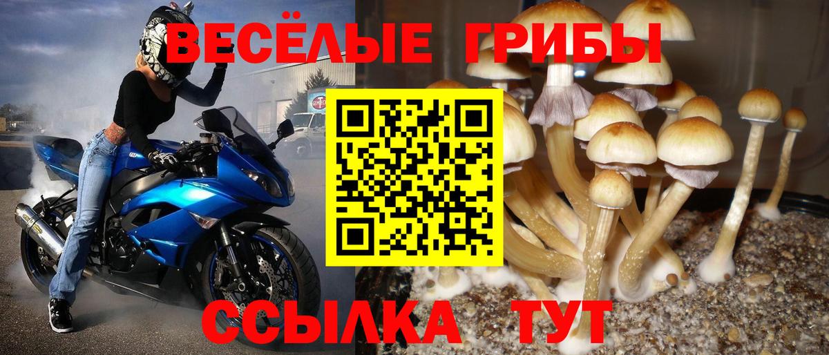 Галлюциногенные грибы мицелий Прокопьевск