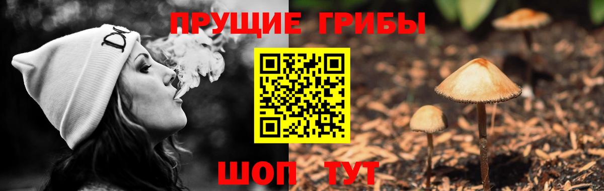 Псилоцибиновые грибы прущие грибы  даркнет сайт  Вход с VPN  Прокопьевск  Псилоцибиновые грибы ЛСД 